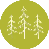 metsa_objekti_syvatty_500px